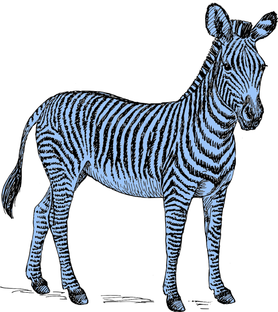 blueZebra